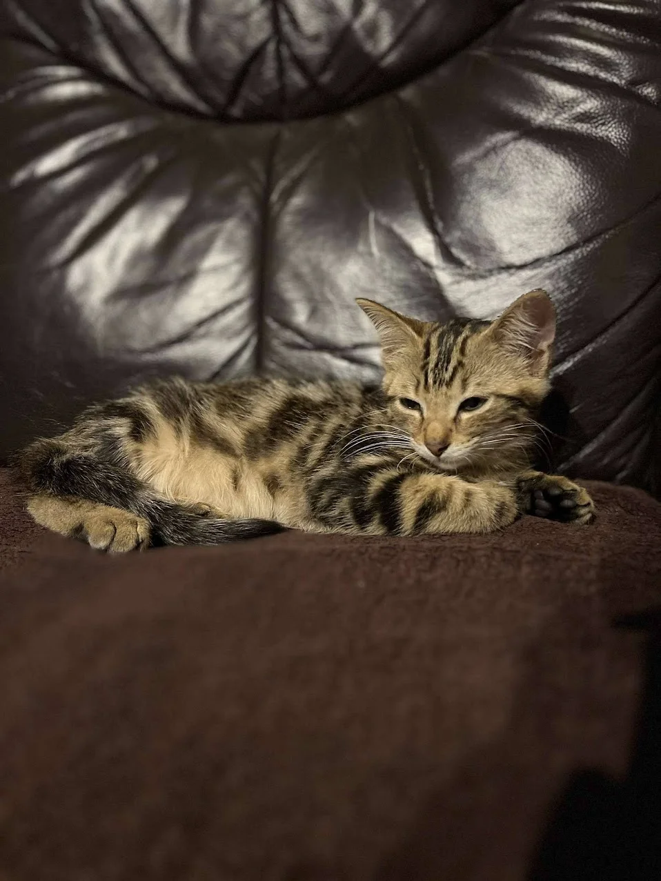 Tigrou