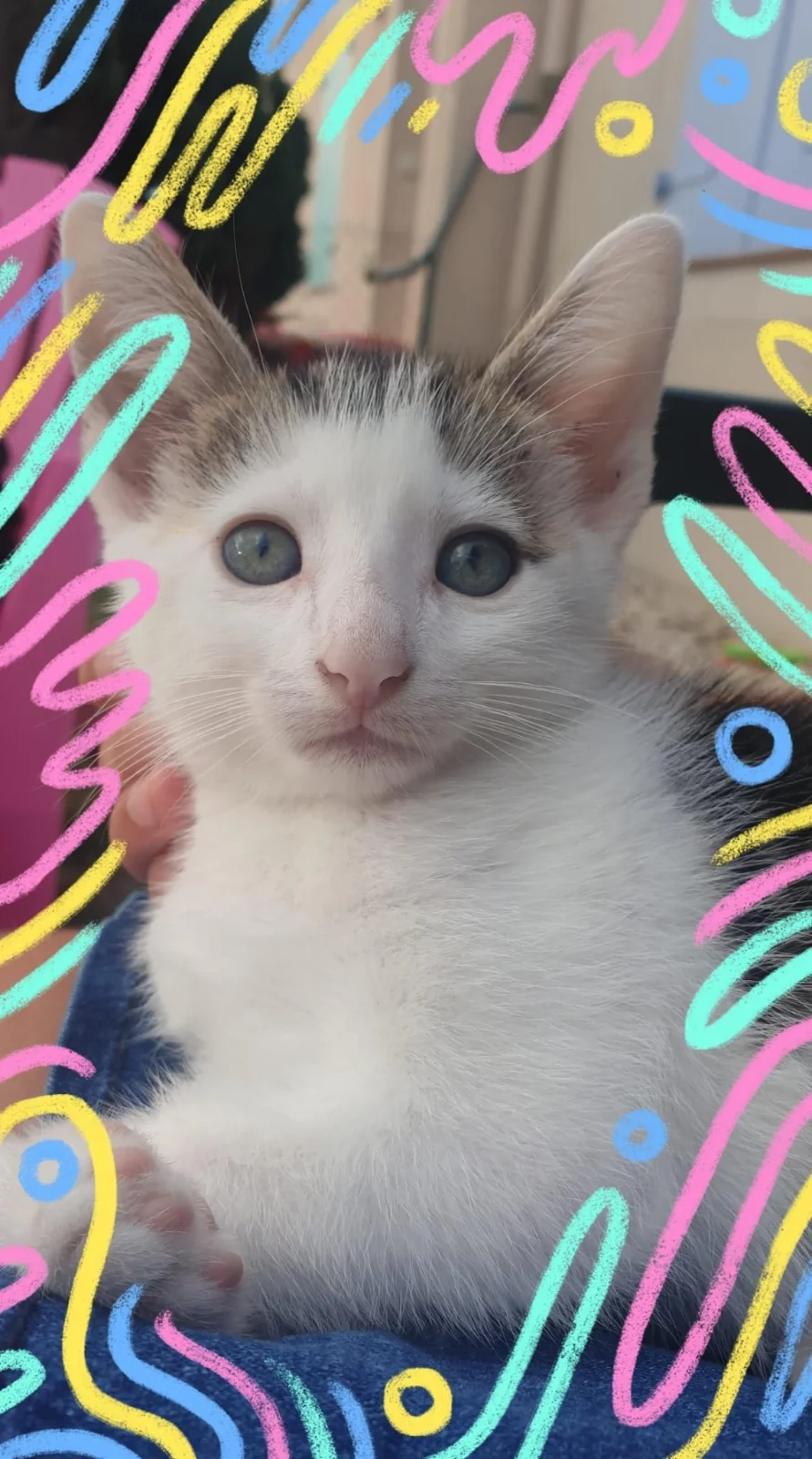 RIO
